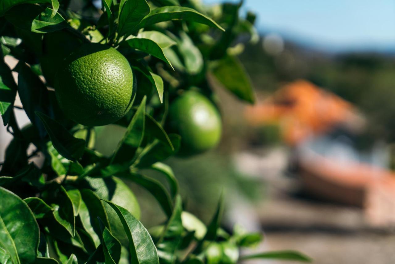 Casa Nova Agroturismo Resende Dış mekan fotoğraf